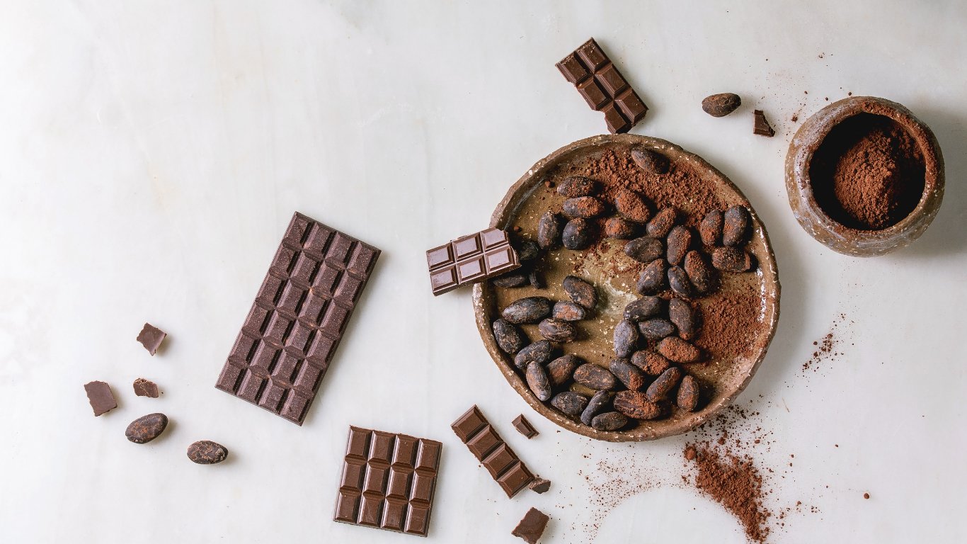Dark Chocolate Bites - SLIMTOX